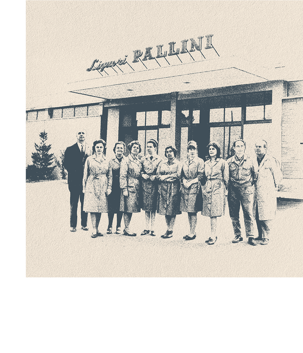 pallini 